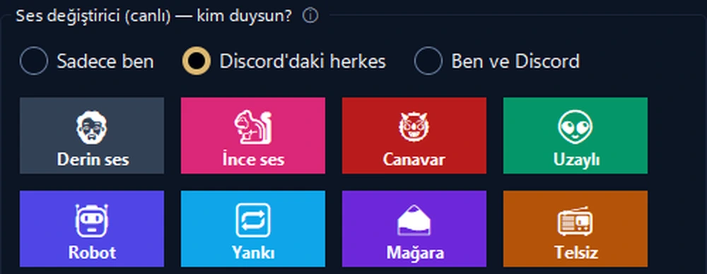 Ses Stüdyosu